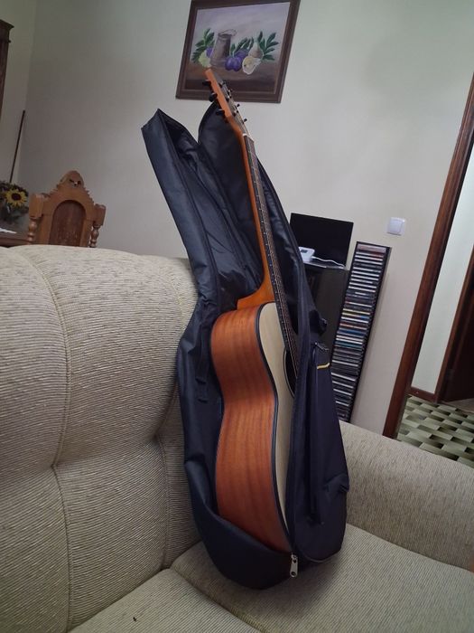 Viola  acustica  nova