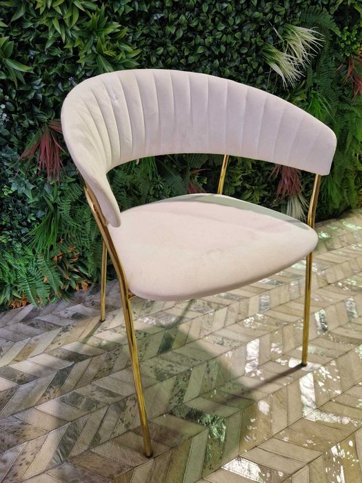 Conjunto Cadeiras com Apoio de Braço