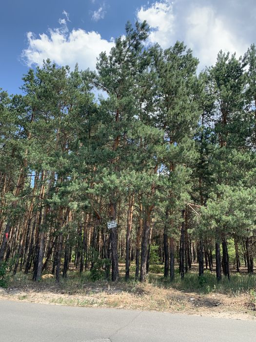 (295м2) Дом с бассейном  Хотяновка