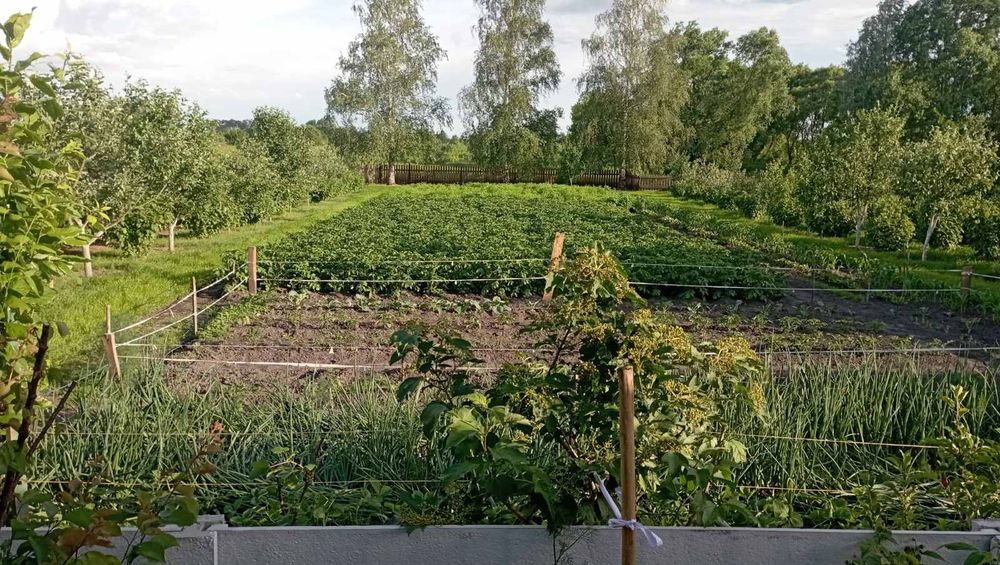Продам добротну  садибу