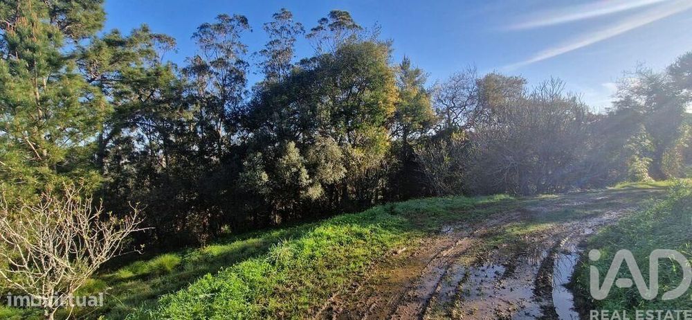 Terreno Agrícola em Mafra