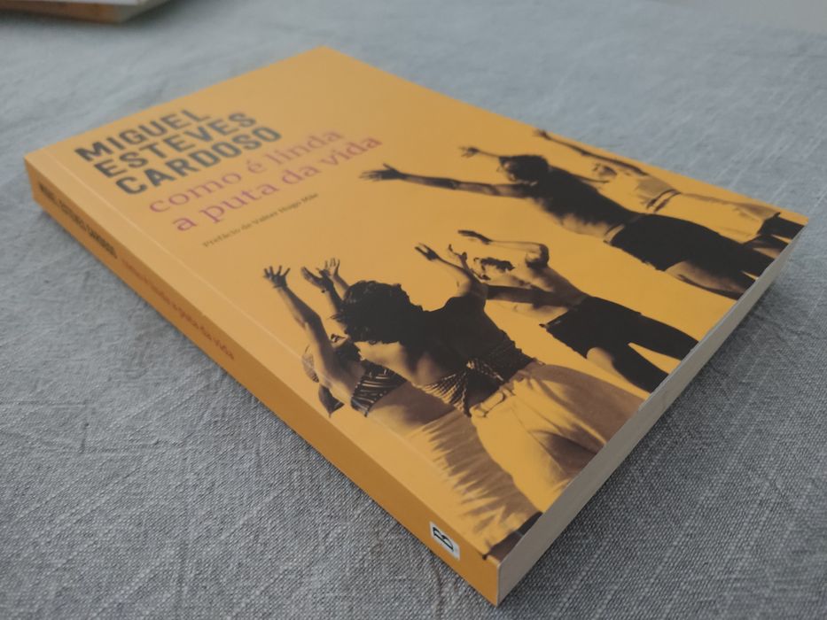 Livro Como é Linda a Puta da Vida