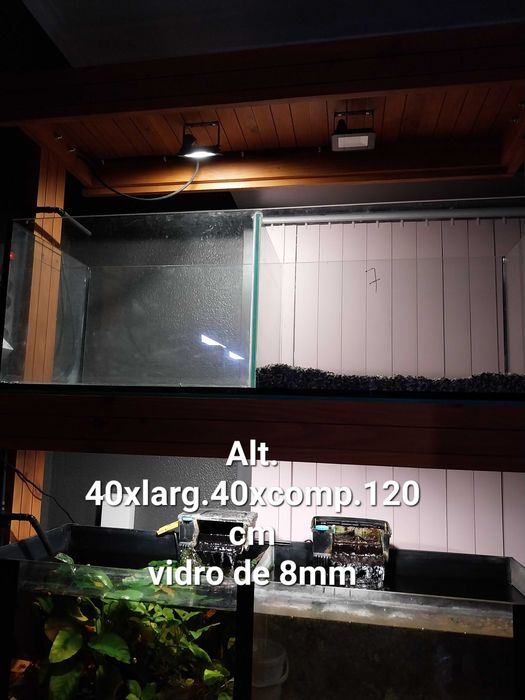 filtros, raspadores, aquários, etc.