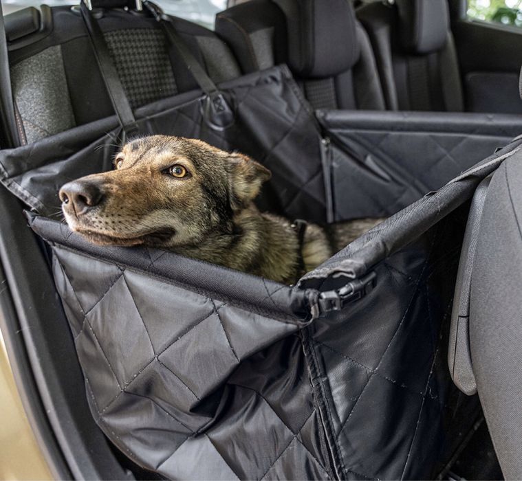 Fotelik samochodowy dla psa, kota