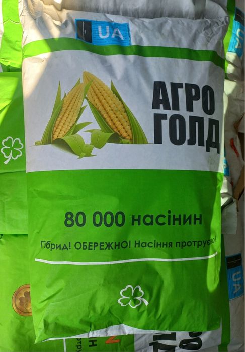 Насіння кукурудзи ДК Велес (ФАО 270)