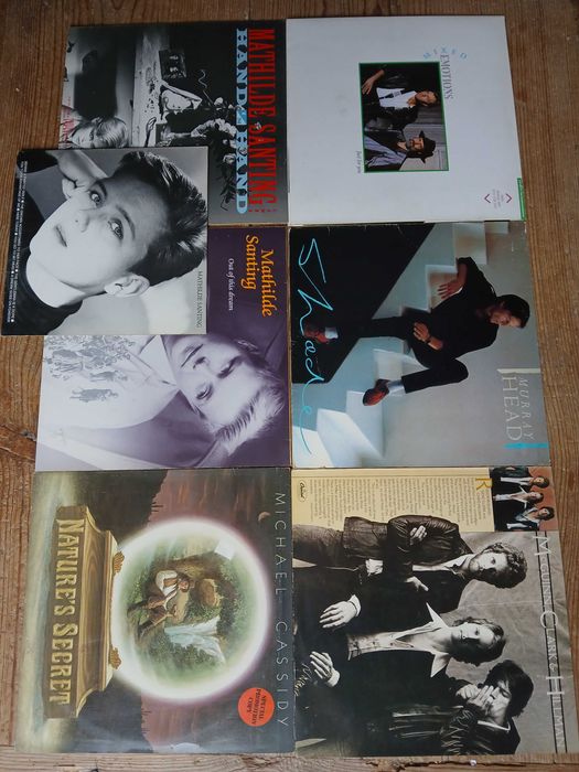 COLEÇÃO  Vinil lp M