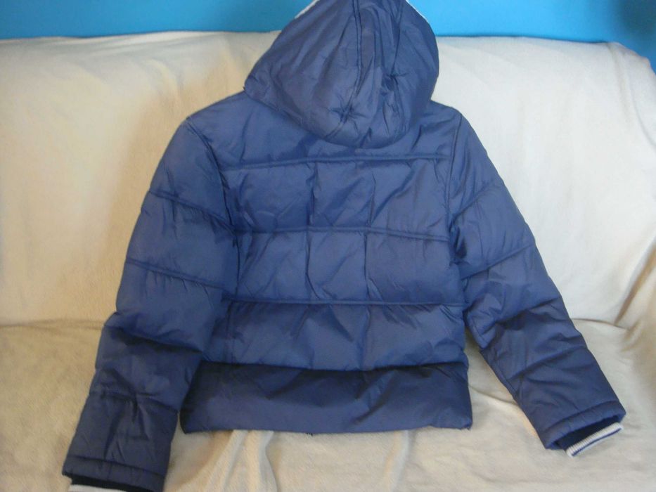 KURTKA Zimowa  St. Bernard z kapturem