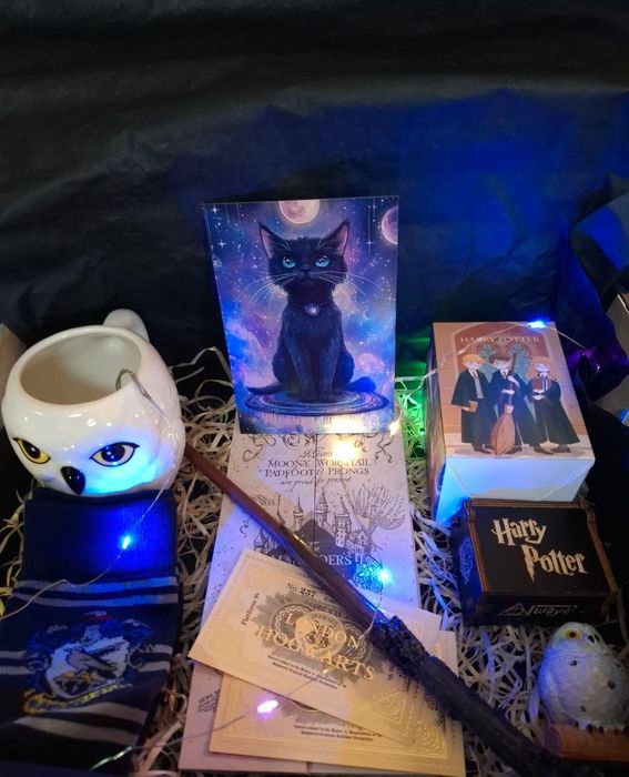 Подарунковий бокс "Гаррі Поттер" (Harry Potter) - набір колекціонера