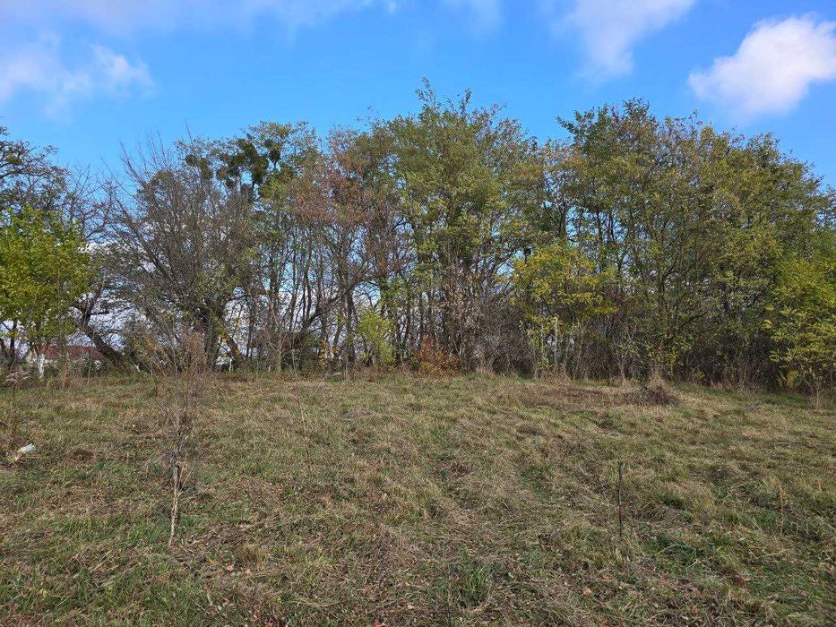 Продаж земельної ділянки с. Липини | 10 сот