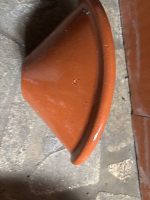 Loica de barro vermelha