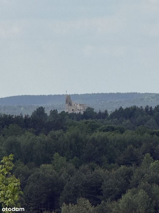 BOBOLICE | 1,146 ha | Widok na Zamek Bobolice i Mirów | Media | Asfalt