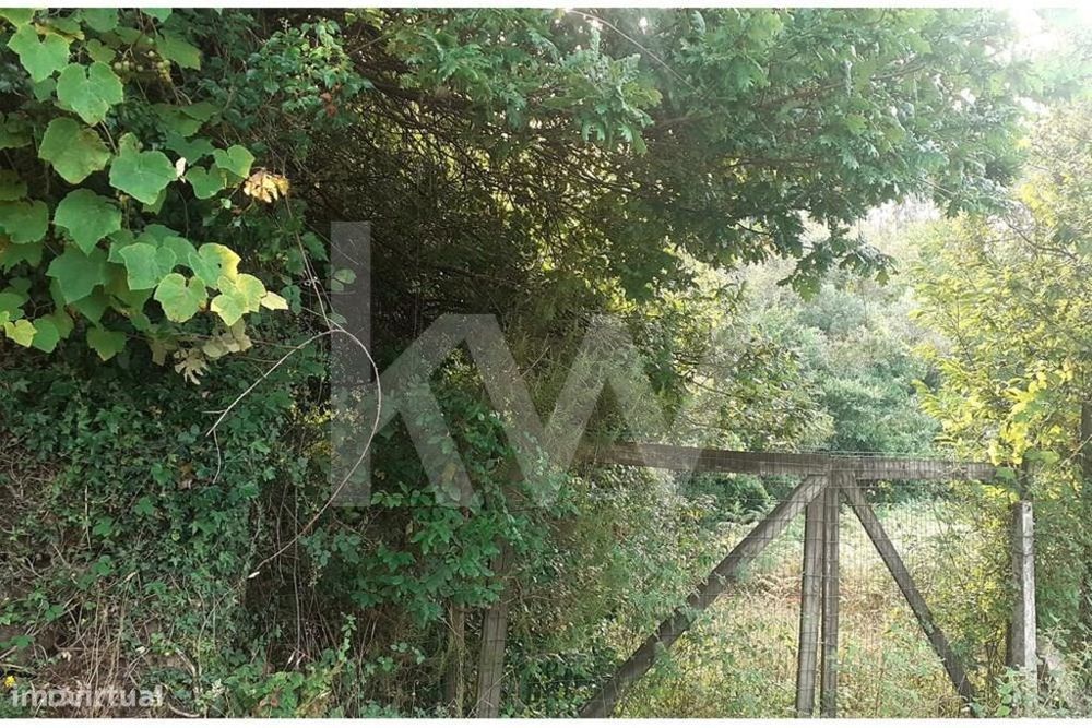 Terreno Rústico Com Potencial Urbanizável Em Sever Do Vouga