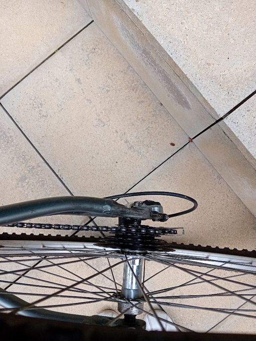 Bicicleta femenina de adulta