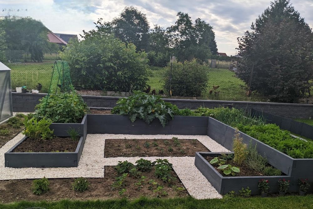 Warzywniak  z desek betonowych