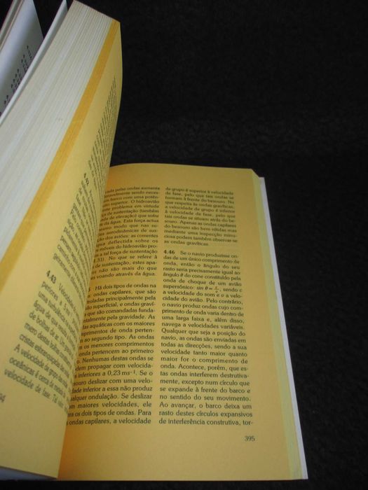 Livro O Grande Circo da Física Jearl Walker