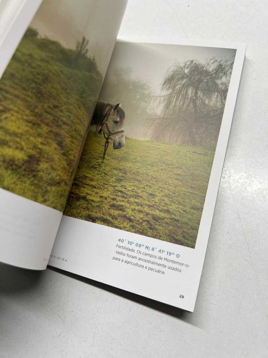 Livro - Mondego / Aguieira - Guia dos Rios e Barragens (ctt grátis)