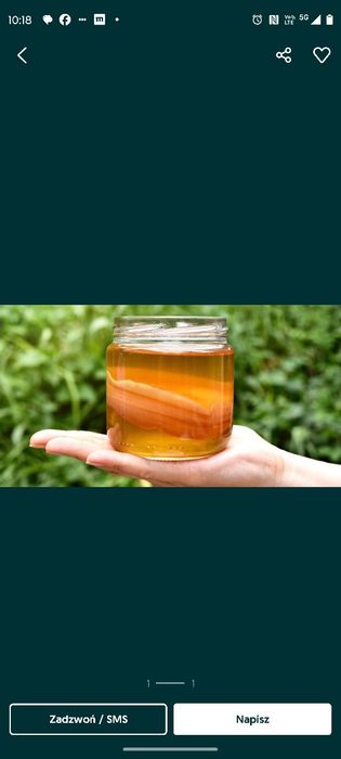 Kambucha Kambucza grzybek herbaciany