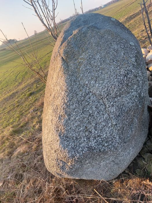 Kamień, duży głaz dekoracyjny.
