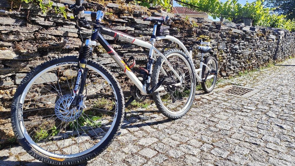 Bike para curtir a grande com o filhote !