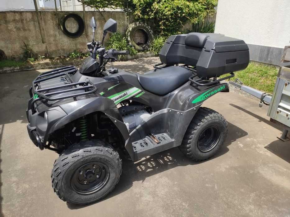 Carnagens Kawasaki BruteForce 300