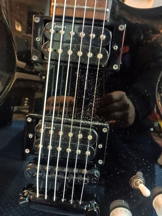 Washburn WI-65PRO