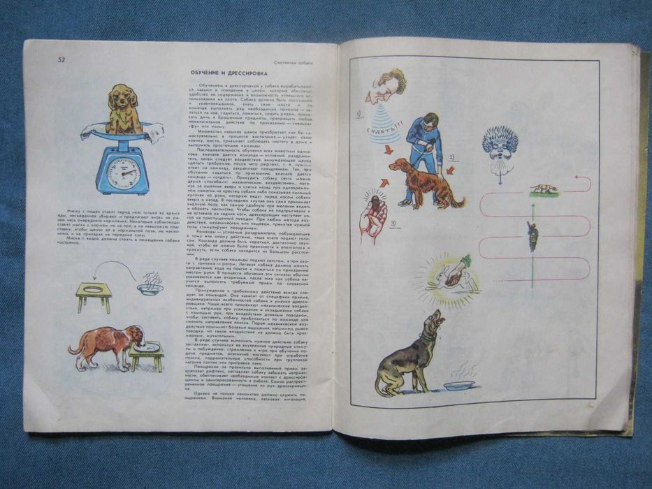 Книга-альбом "Охотничьи собаки".