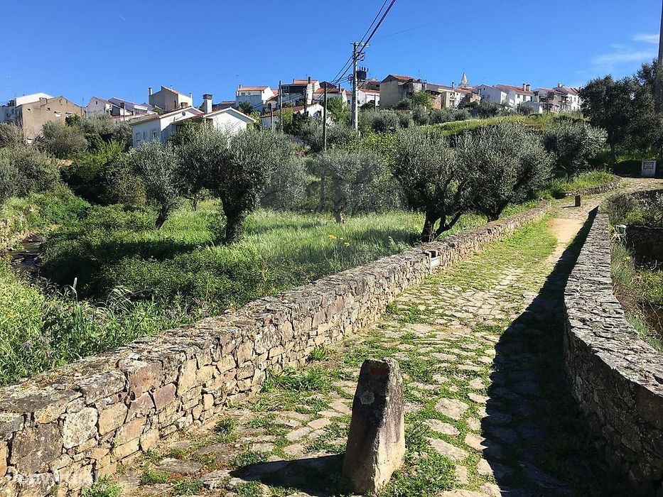 Terreno  para venda — Mação, Penhascoso E Aboboreira, Santarém