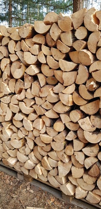 Drewno Opałowe SOSNA