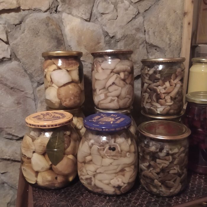 Мариновані та сушені гриби