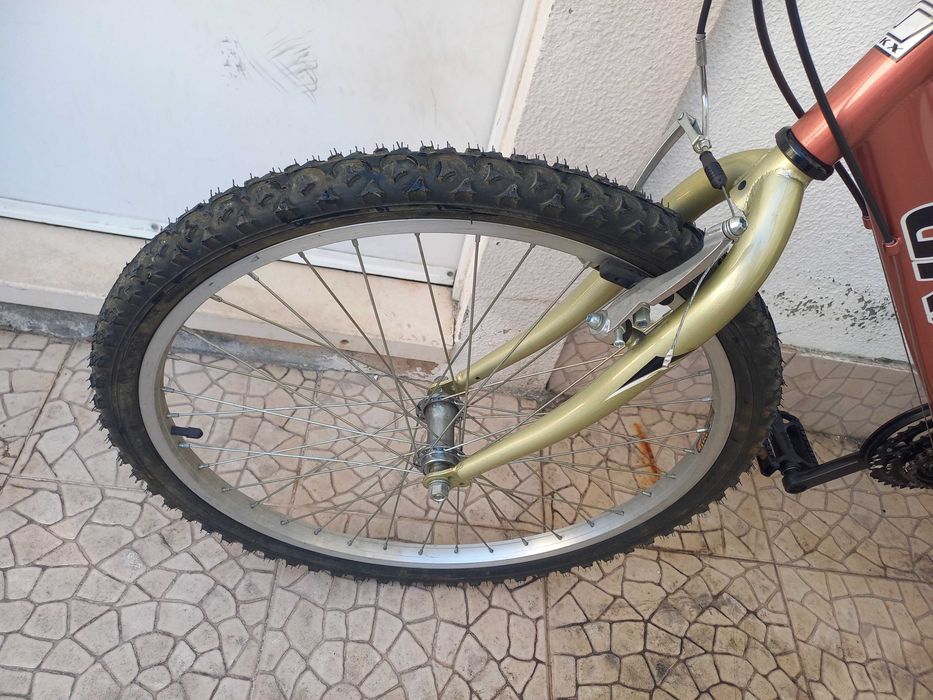 Bicicleta Adulto
