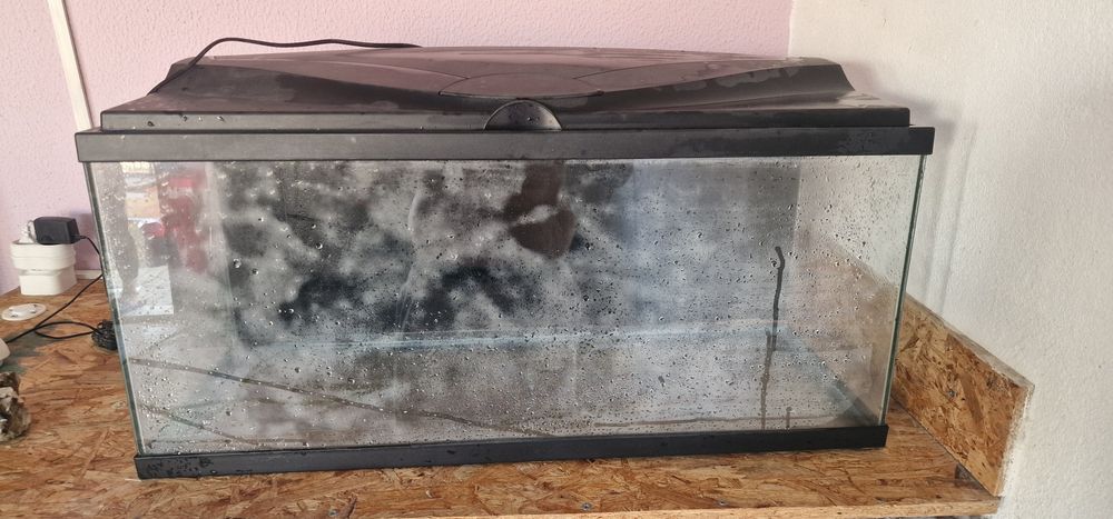 Aquário e vários acessórios