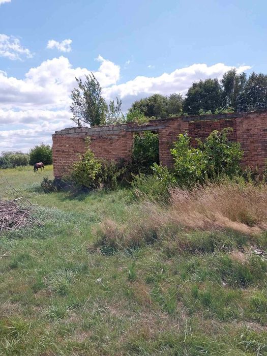 незавершене будівництво та земельна ділянка 60 сот., с. Малі Нагірці