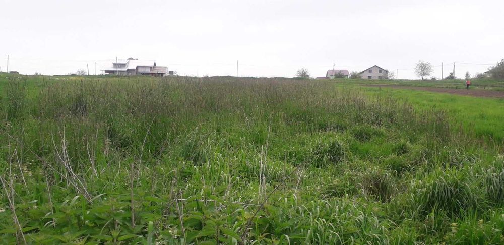 Старий будинок із земельною ділянкою 50 арів