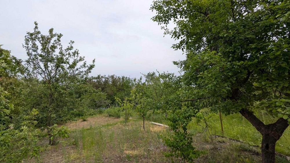 Продам Дачу в Тарамском, Сухачевка