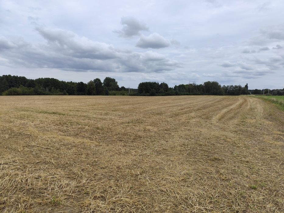 Sprzedam ziemię rolną 2.66ha