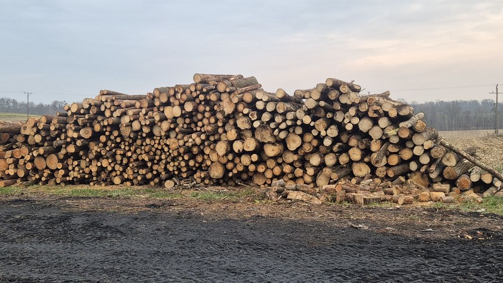Sprzedaż Drewna opałowego.