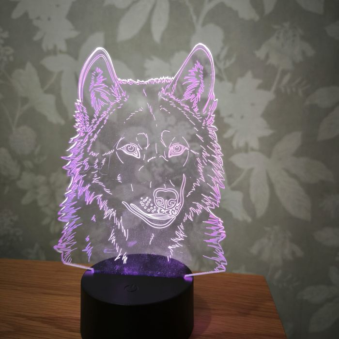 Luz de presença RGB Lobo