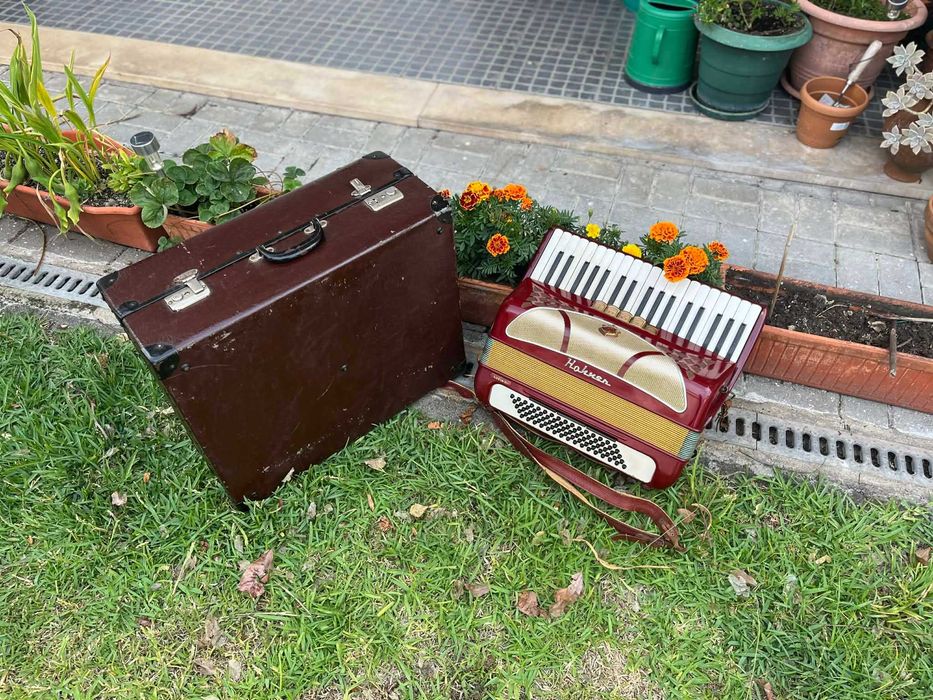 Acordeão Hohner Lucia II 80 Baixos
