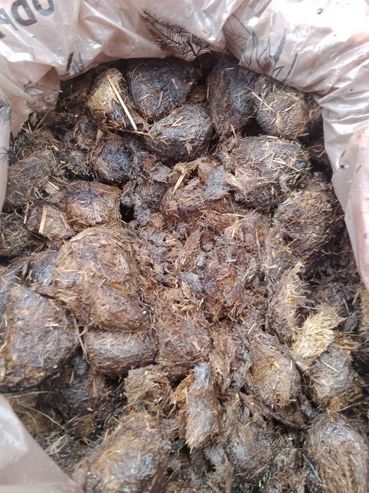 Sprzedam obornik koński