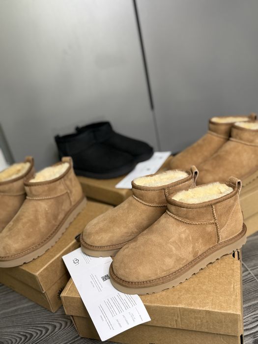 Угг классические угги ugg mini classic без платформы уг