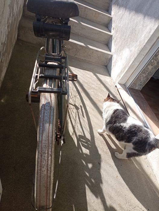 Pasteleira antiga para restaurar apenas a nível estético