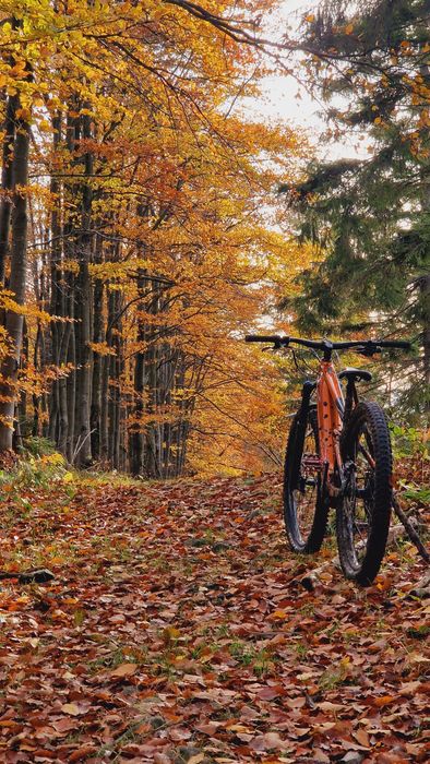 Rower elektryczny Giant Trance X E+ 1 2022 roz. M ebike (santacruz, haibike, specialized, focus, trek, merida, kellys)