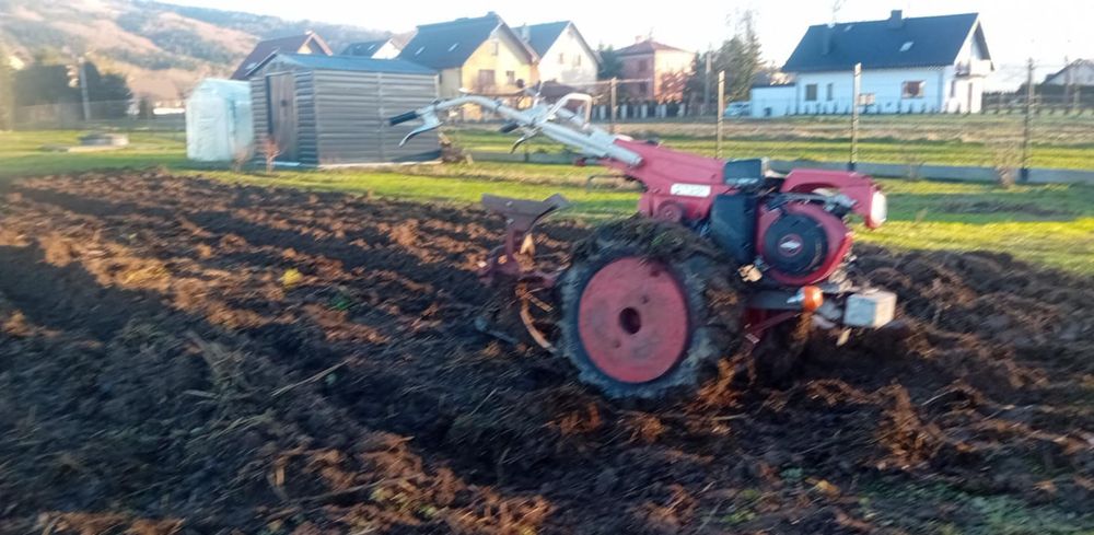 Traktorek jednoosiowy/dzik