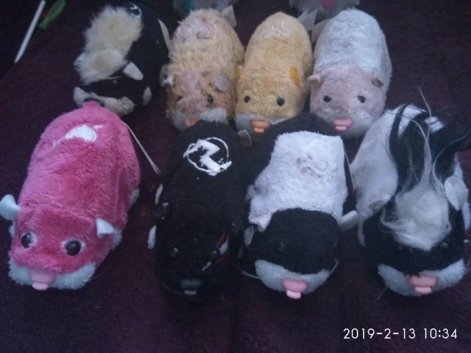 Хомяки жу-жу, дом лаберинт, машина, мотоцикл, коляска