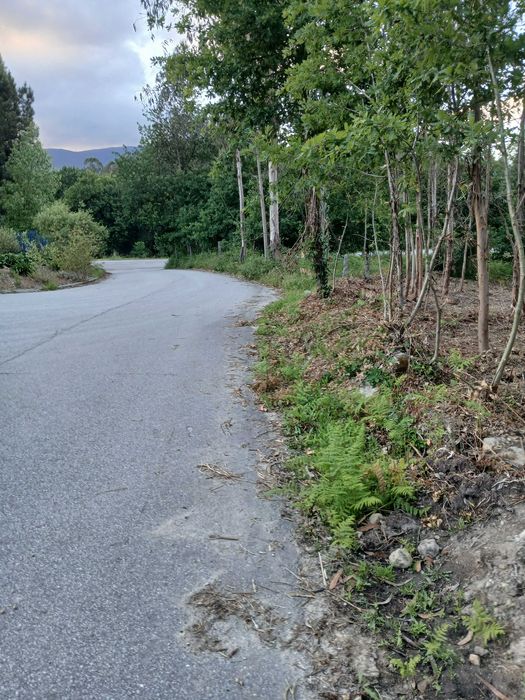 Este terreno, de 1.200 m2, próximo da Avicasal, São Pedro do Sul