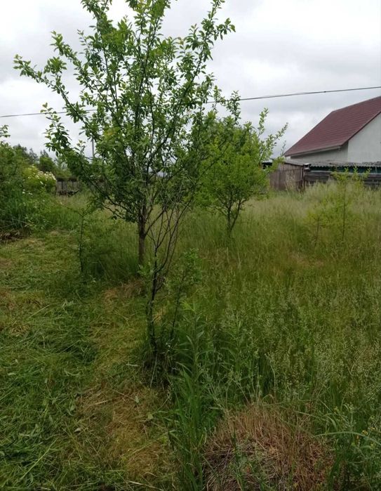 № 11819 - Дача, Барашевський масив, 2-эт.