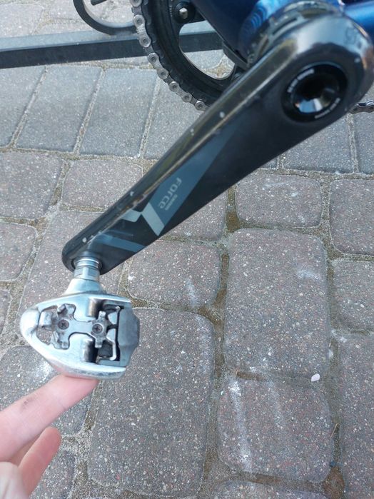 Rower Focus Arriba - rama 60cm