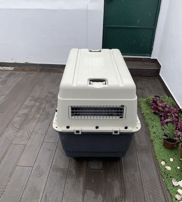 Caixa de transporte para Cão