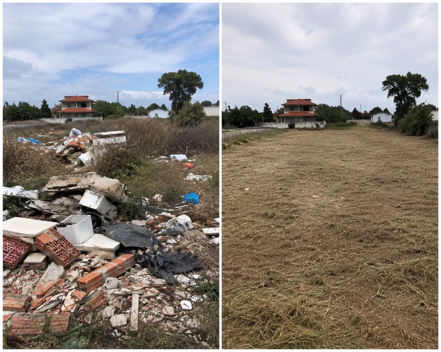 Debris Collection and Cleaning, Furniture, Appliances, Waste