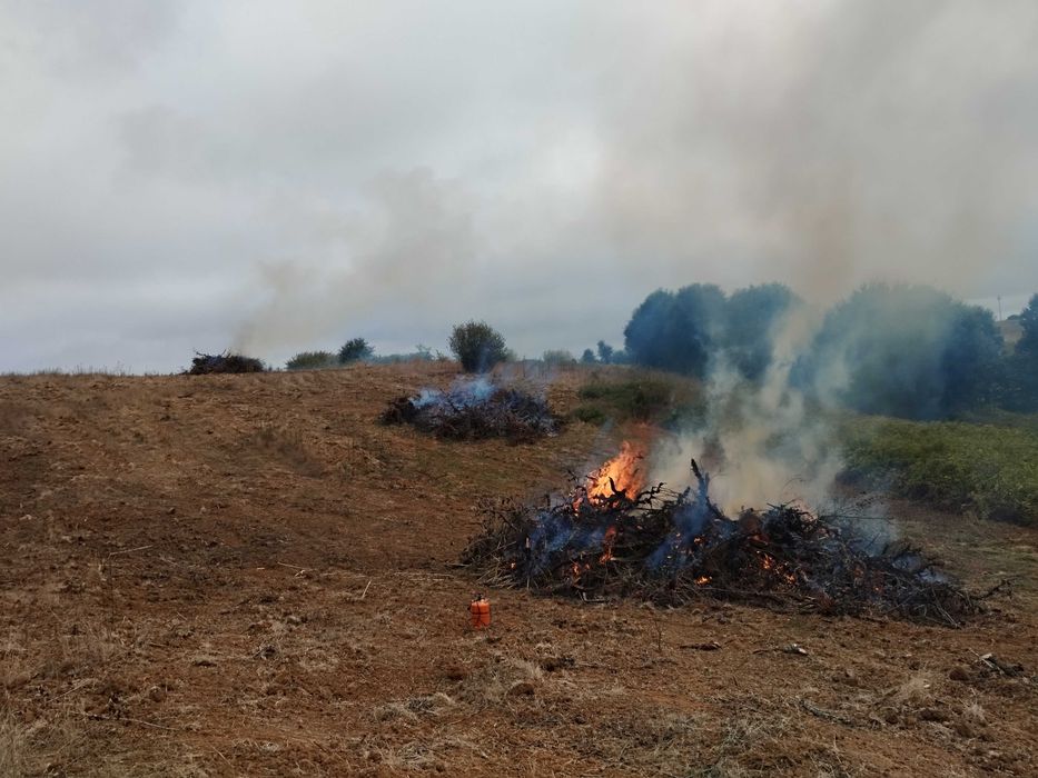 Serviços de Limpeza e Manutenção de Terrenos - Zona Oeste